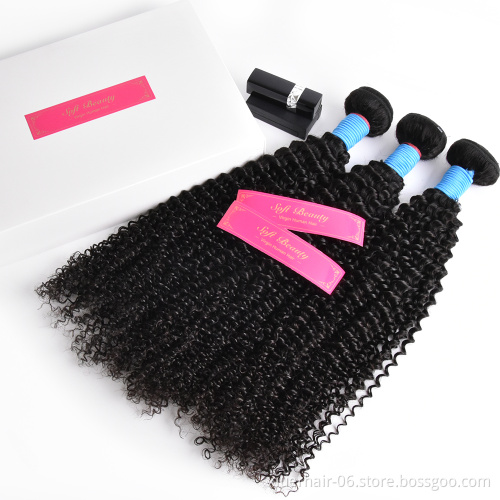 Best Quality Brazilian Raw 12A Vendors Wholesale Cuticle Aligned Virgin Hair Bundles with Lace Closure